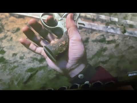 Red Dead Redemption 2 - Gunslinger and Hero Pearl Grip glitch (Read description for details)