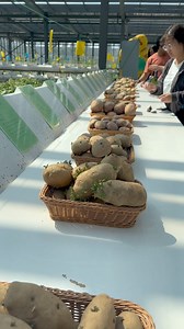 Nan Dar sara bala yaw informative video share kom umeed d che khwkha ba mu she, | Dr Inam Khan