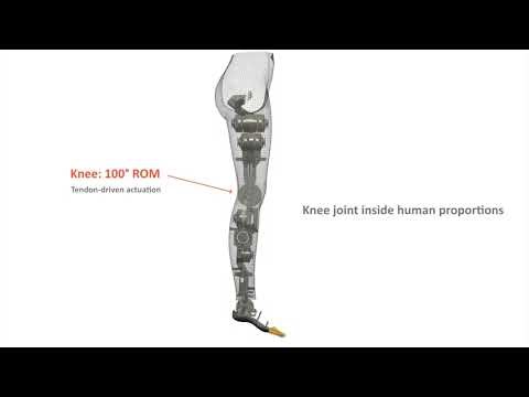Humanoid Robot Knee Design — Tendon-Driven 1-DOF Joint | Joint Log #002