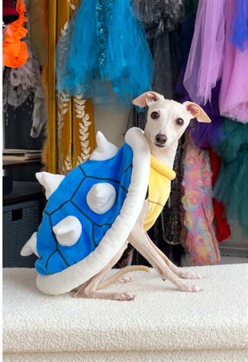 Super Mario Movie Weekend: Dress Up Fun!