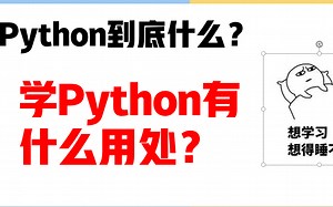 Python到底是什么？学会能做些什么？