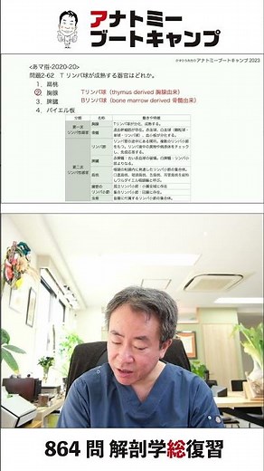 【 #国試1分道場 ・循環器系】T リンパ球が成熟する器官はどれか。 １．扁桃 ２．胸腺 ３．脾臓 ４．パイエル板 #かずひろ先生 #解剖学