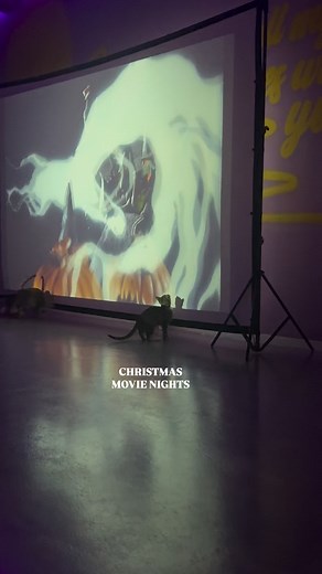 1.8K views · 177 reactions | ✨ Get ready to jingle all the way into...