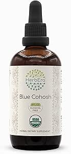 HerbEra Blue Cohosh B120 USDA Organic Tincture | Alcohol-Free Extract, High-Potency Herbal Drops | Certified Organic Blue Cohosh (Caulophyllum Thalictroides) Dried Root (4 oz)