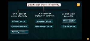 Classification of Economic ActivityEconomic activities can be... | Filo