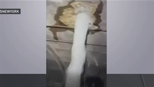 New video shows East River pouring into Queens-Midtown tunnel hole