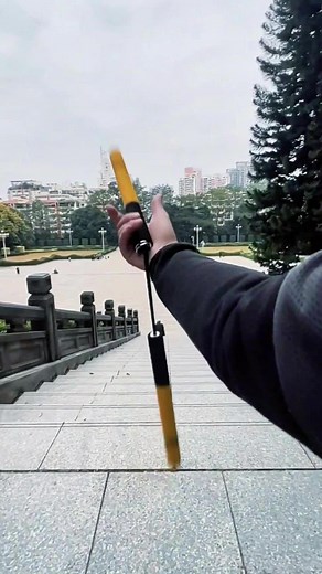 Lane Yuan on TikTok