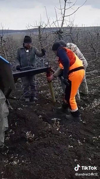 Outdoor Tree Care with a Tractor Loader