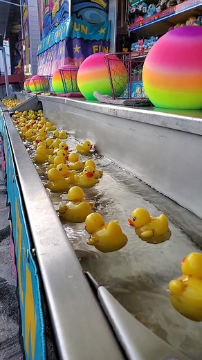 3.6K views · 15 reactions | Who's excited for the Palm Bay Fair! Check it out at Space Coast Harley Davidson from now until October 9! Admission includes all shows & unlimited rides. | Florida's Space Coast | Facebook