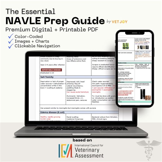 NAVLE Study Guide 2025: Color-coded Vet Exam Prep (digital   Printable) - Etsy