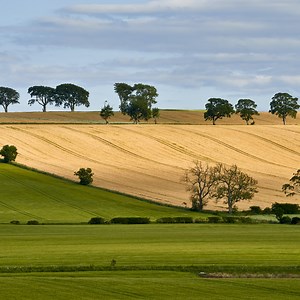 Explore: Describing and Classifying Soil