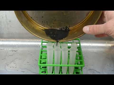 Nematode Extraction 22