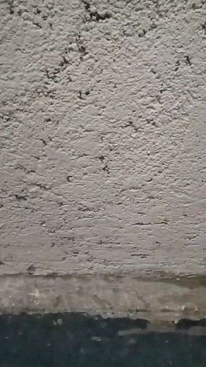 Nimesh More on Instagram: "Jannat Dekh Liya Bhai ne🥵🔥🙂 Follow me @the_combact_pilot #ns200_ns200modified_rs200_as200_ktmrc200_ktmrc390_ktmmodified_duke200_duke390_superduke390_r15_fz250_superbike_riders_nakedwolvesindia_nakedwolves_dom #nspullingo #ns200😍 #reelsvideo #power #ns200_ns200modified_rs200_as200_ktmrc200_ktmrc390_ktmmodified_duke200_duke390_superduke390_r15_fz250_superbike_riders_nakedwolvesindia_nakedwolves_"