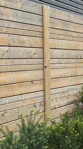 261K views · 1.2K reactions | Target practice 藍 | Piques | Facebook