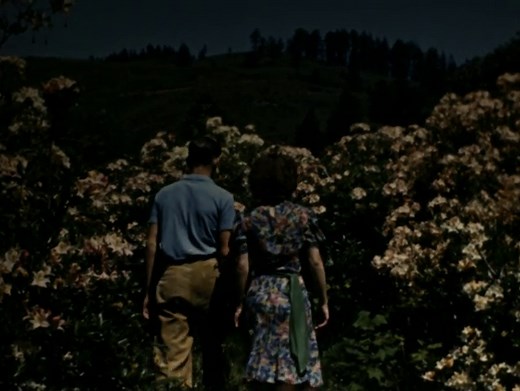 Home Movie: 98566: Oregon Trail (R-2)