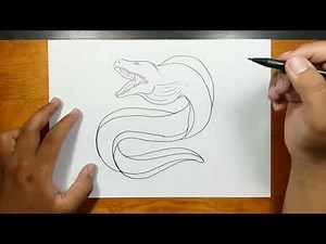 Drawing realistic ELECTRIC EEL