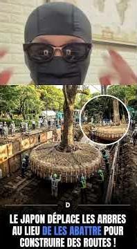 🌲🇯🇵✨ L’INCROYABLE NIWAKI : QUAND LE JAPON DÉPLACE DES ARBRES AU LIEU DE LES COUPER ✨🇯🇵🌲