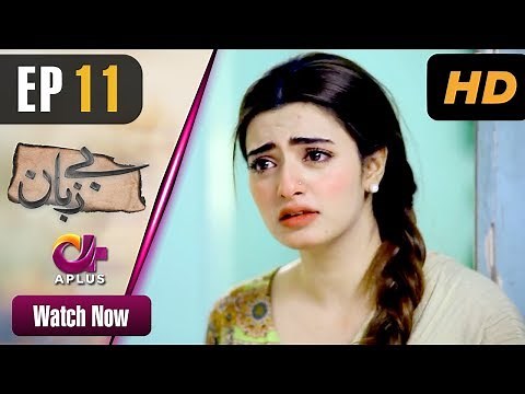 Pakistani Drama | Bezuban - Episode 11 | Aplus Dramas | Usama Khan, Nawal Saeed, Junaid, Mahlaqa