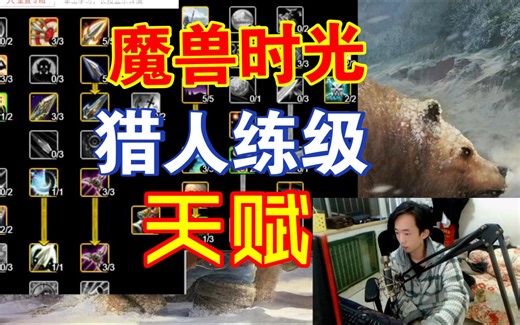 魔兽世界时光服，猎人前期练级天赋，及宠物选择千万不用点错！