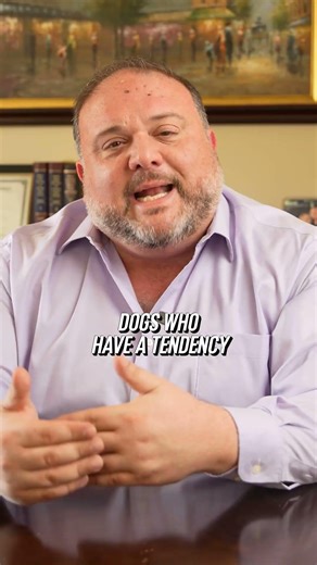 Dog Bite Claims: Does Your Insurance Policy Cover Your Pet?