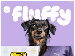 An amazing ui ux design for mobile and web app