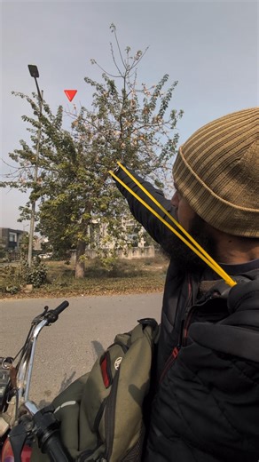 Dove hunting tips and tricks #youtubeshorts #shorts #trending #tips