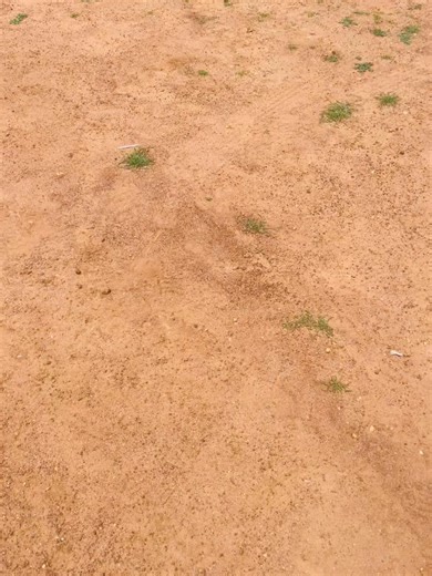 These are twins. Ke Banyana!!!girls! They only a year old. Their mother is Always Ko Strateng Drinking Otlogela Bana bale Banosi the whole Day! They haven’t Bathed in days! Jaka le babona yana sale aile vrug,le monna wateng,bana,they’ve had these nappies on since maobane! This is Heartbreaking and inhuman! Community ezamile go buwa le mama bone she doesn’t Care! She has 6 kids all of them grew under these circumstances the other 4 doesn’t attend school Habana di birth and to her it’s normal,it’s