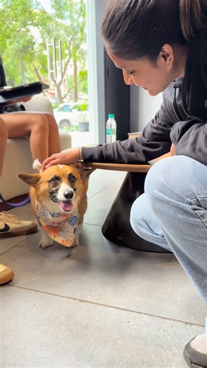 Tattoo Artist | Designer | When good vibes walk in on four paws; tattooing feels easier when you've got this much love in the room. 10 hours, great energy and this... | Instagram