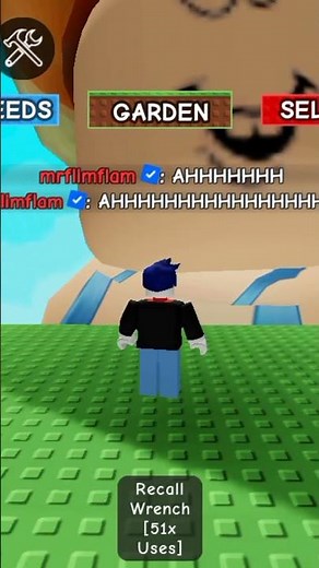 mrflimflam..........