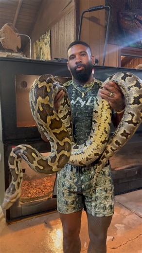 Mike Holston on Instagram: "I need a name for my Sri Lankan python girl 﫶 Suggestions ?"