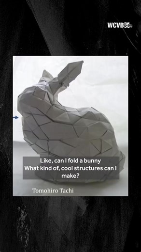 Via @chronicle5 易 Meet MIT’s origami genius: Erik Demaine is a MacArthur “genius,” He's MIT’s youngest-ever professor, and a pioneer in computational origami. From folding paper fish to solving problems in space and medicine, his math meets art… and the results are mind-blowing.  Folding the future, one crease at a time. | Greg Letson | Facebook