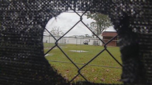 Inside the debate over animal testing in medical research