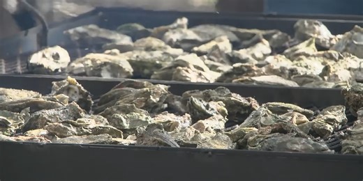 Cedar Key Oysterman’s Association to host 3rd Annual Oyster Roast