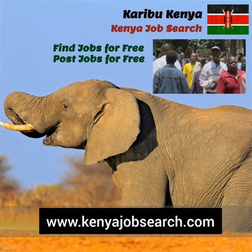 Kenya Job Search is a trusted online job platform where you can easily find jobs in Kenya.