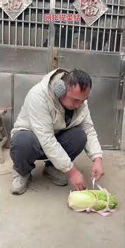 #Favorite Rating Incentive Program #Record Our Ordinary Life #Record Our Rural Life