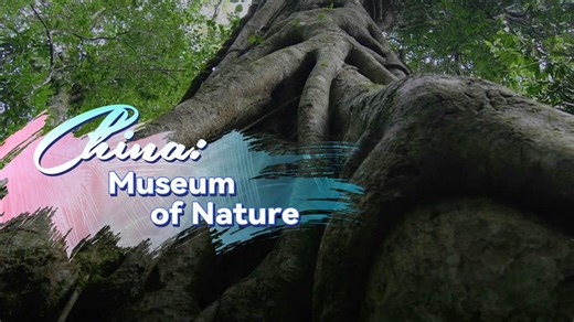 China: Museum of Nature | The realm of biodiversity
