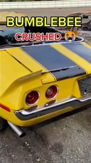 DESTROYED 1971 Camaro Z28 at Salvage Auction! 😱💔