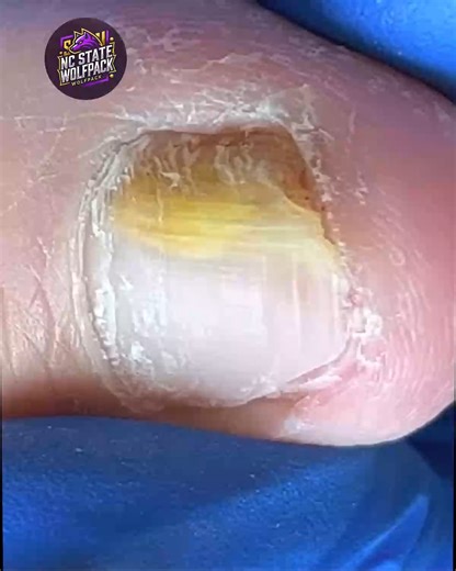 25K views · 154 reactions | 494. Workday adjustments support grocery shopping and food labels planning #GroceryLabels #MealPlanning #EverydayWellness | NC State Wolfpack on TheWolfpacker.com | Facebook