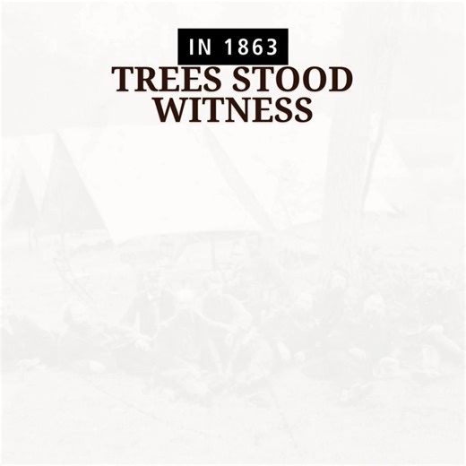 Today, you can hold a piece of history. | Gettysburg Sentinels