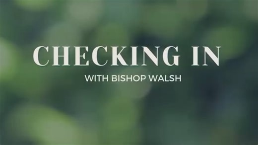 Checking in from the Seminarian Summer Gathering in Traverse City, Bishop Walsh shares his plans for the remainder of the week and upcoming weekend. From the eastern vicariate Thanksgiving Mass tomorrow (8/7), Spanish Mass at St. Stephen on Saturday (8/9) to St. Mary of Hannah's 140th anniversary Mass on Sunday (8/10), the bishop begins a busy month of August. Stay tuned until the end of the video for an update from each of our seminarians! | Diocese of Gaylord