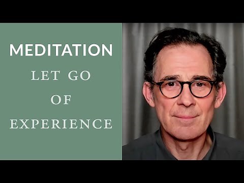 Guided Meditation: Let Go of Experience and Recognise the Self