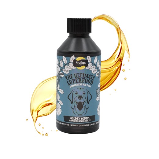 Senior Dog Supplement – Supports Cognition, Mobility & Vitality