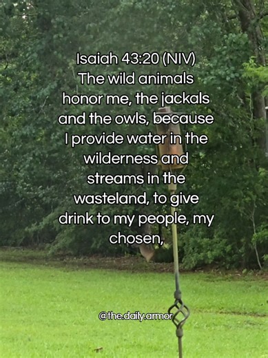 God's Provision in Isaiah 43:20