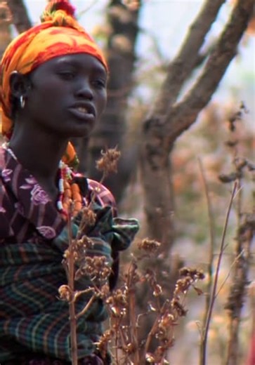 Jim Shockey's Hunting Adventures S08:E02 - Ethiopian Nile Buffalo Hunt