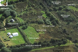 Donate to Celtic Forest Nation, organized by Niamh Connor