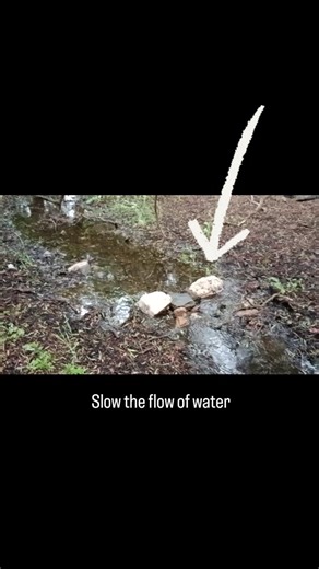 One of the key principles of Natural Sequence Farming (NSF) in regenerative agriculture is to slow the flow of water through your property to maximise retention and benefits and stop erosion. As you can see in this mini demonstration on our creek, by placing the rocks we've forced the water to go wider and soak in behind them. We have not stopped the water and it's free to leak both through and around the rocks and continue on its path slower. #gilberdale #naturalsequencefarming #regenerativeagr