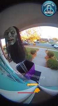 The Package Thieves Didn't Expect this Package to be Able to Fight Back 😂(Caught on Ring Camera)