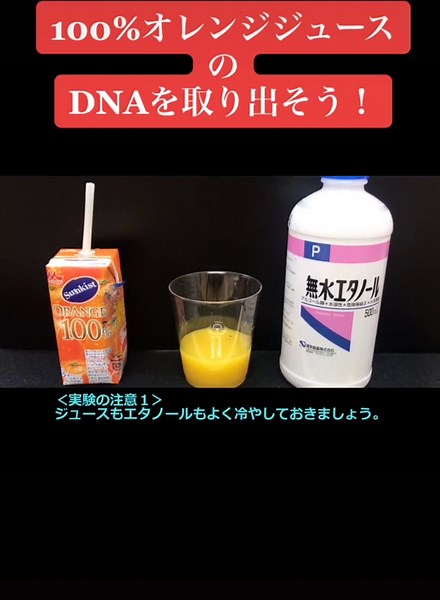 DNAを取り出す実験の方法とコツ