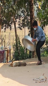 686K views · 2.9K reactions | Funny Dog Video Pranks 2025 #fun #reel #dog | Adalyn Pro | Facebook