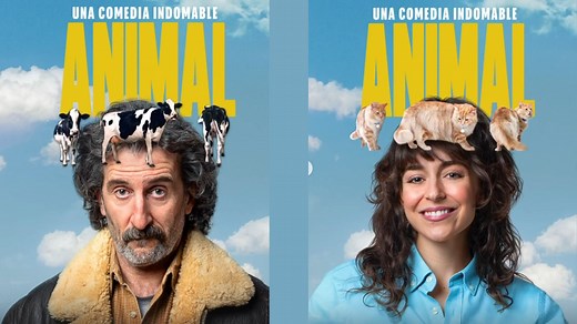 Old Dog, New Tricks: Release date, cast, streaming details and more about the upcoming Netflix dramedy series